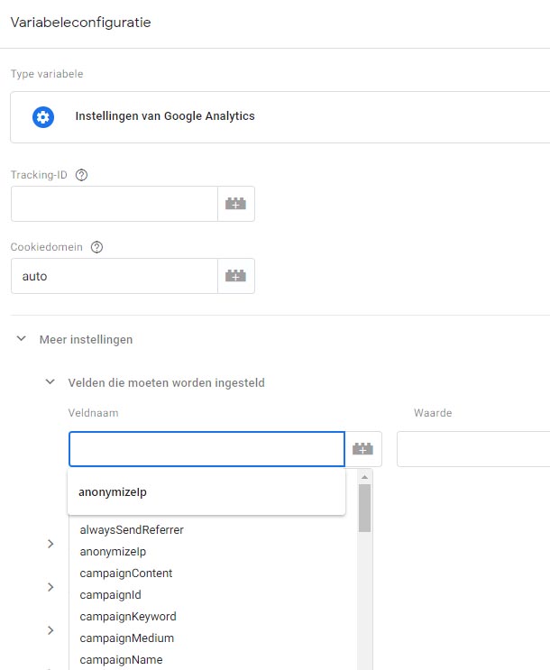AnonymizeIP-Google-Tag-Manager